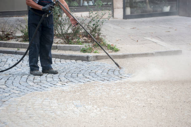 Best Sidewalk and Walkway Cleaning  in Lemmon, SD